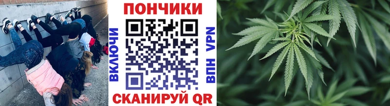 Как найти наркотики Красноуральск ГАШ Бошки Шишки КОКАИН Галлюциногенные грибы Меф мяу мяу