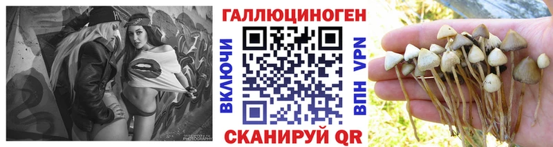 shop клад  как найти закладки  Красноуральск  Псилоцибиновые грибы Cubensis  mega сайт 